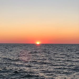 Meet your Posher, Theresa